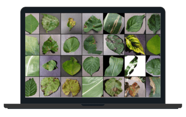 Plant AI
